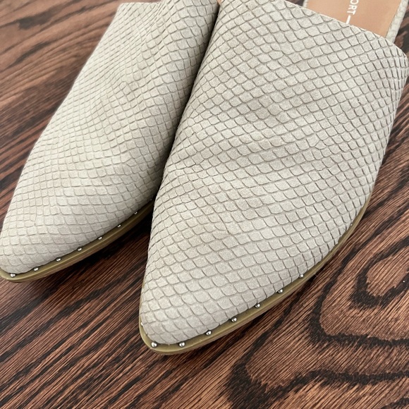 Report mules - Picture 3 of 8